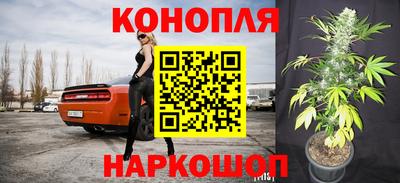 каннабис Кингисепп