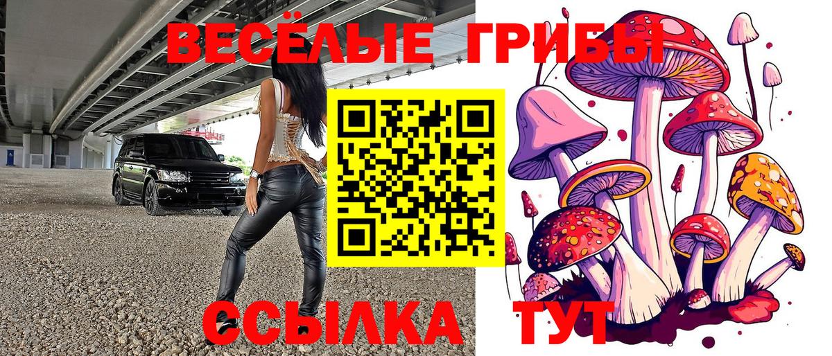 Псилоцибиновые грибы мицелий  Вход с VPN  Чебоксары 