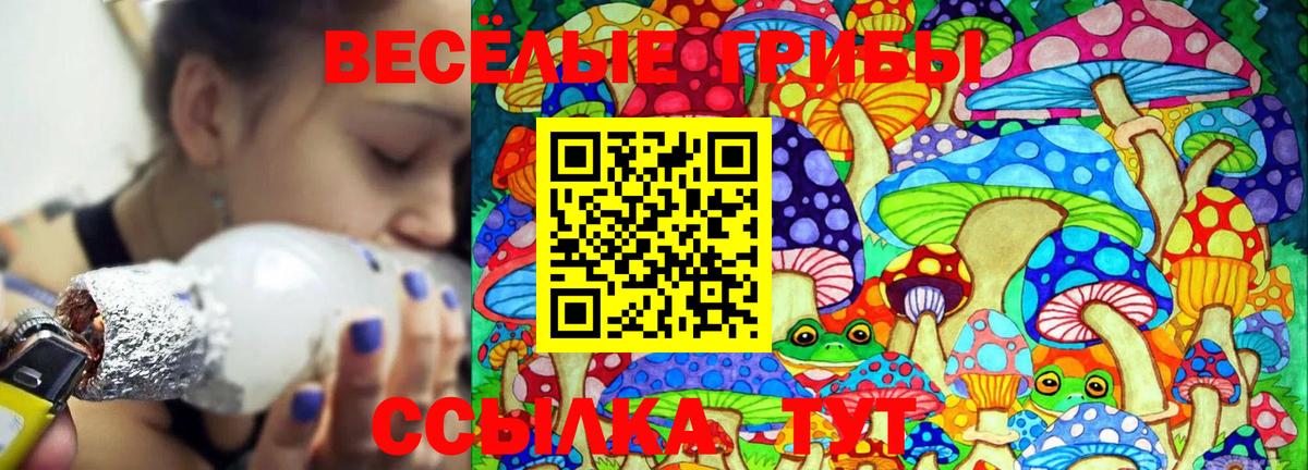 Галлюциногенные грибы Psilocybine cubensis Чебоксары